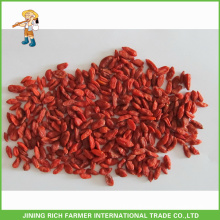 Zhongning Goji 250g Wholesale Manufacture